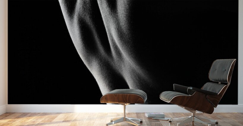 A Beautiful Back Wall Murals