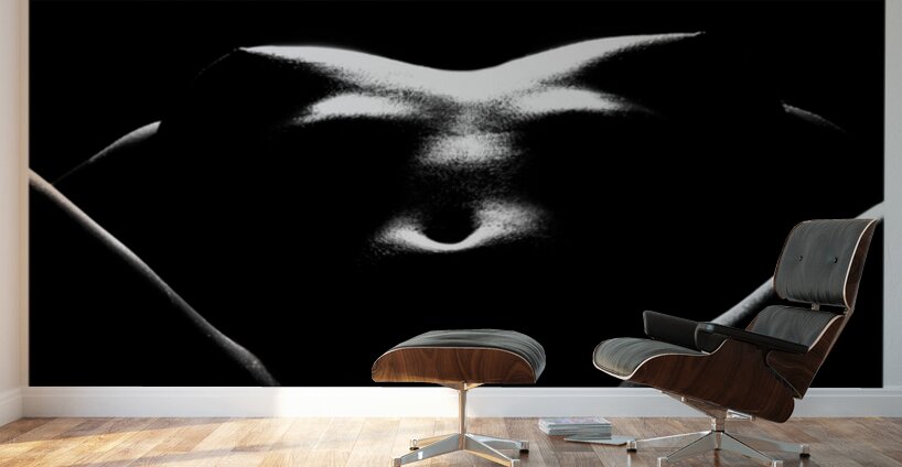 Bodyscape from Below Wall Murals