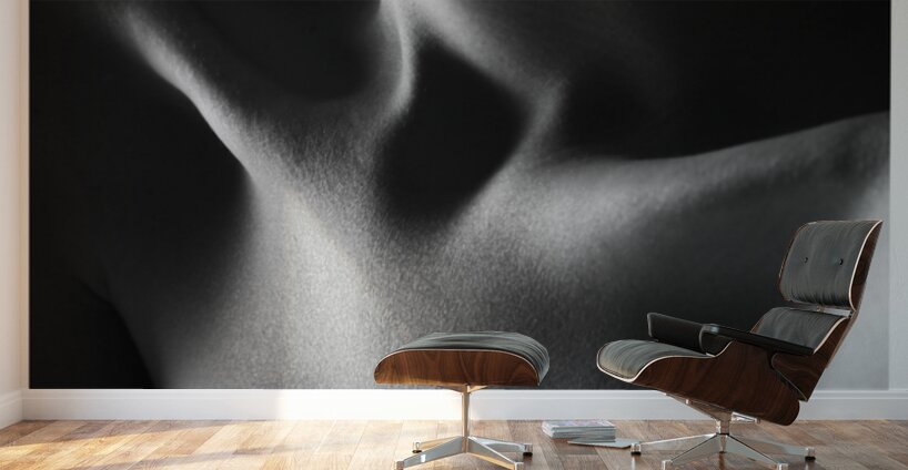 Collarbone Wall Murals