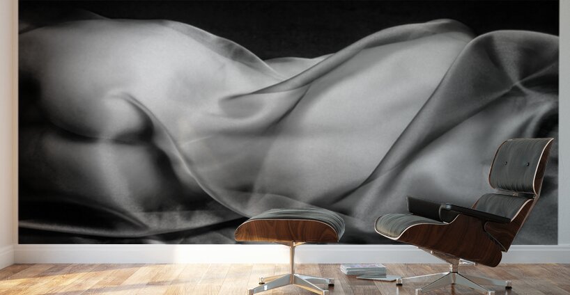 Draped Wall Murals