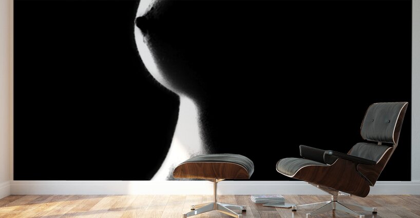 Designed by Light Wall Murals