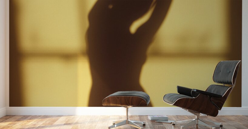 Shadow of Gold part one Wall Murals