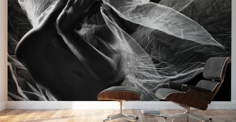 Hidden by Design Wall Murals