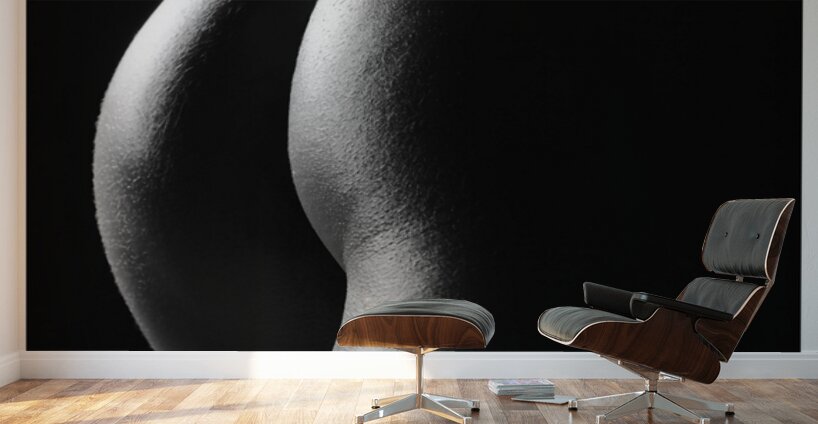 Rising Moon Wall Murals