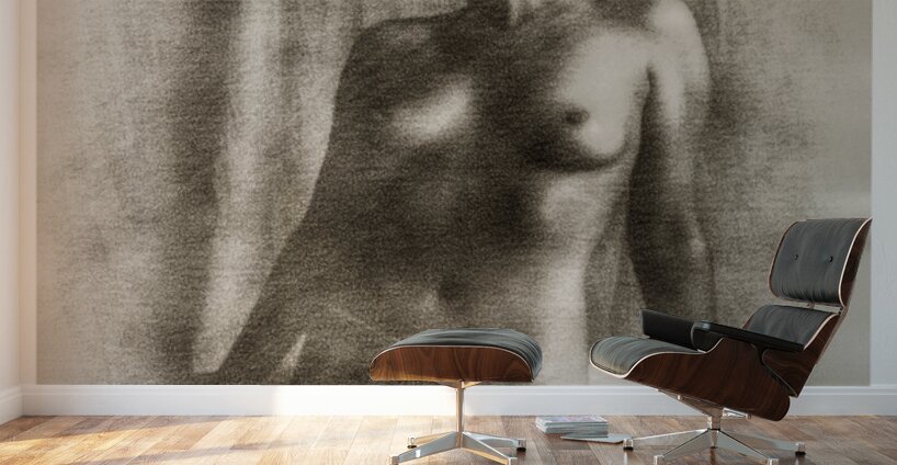 Shaded Figure Wall Murals