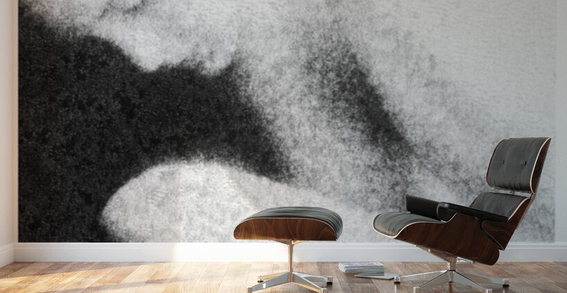 WomanOnPaper Wall Murals