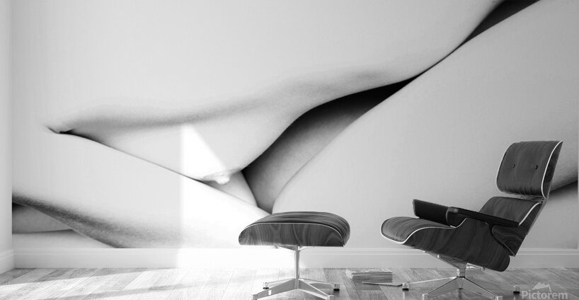 Design on the Side Wall Murals