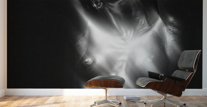 Metallic Stretch Wall Murals