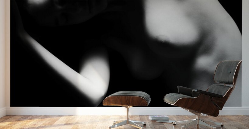 Stretch and Hide Wall Murals