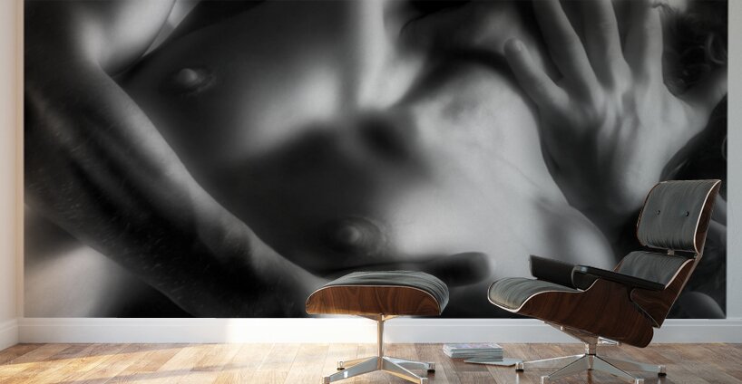 Surrender Wall Murals