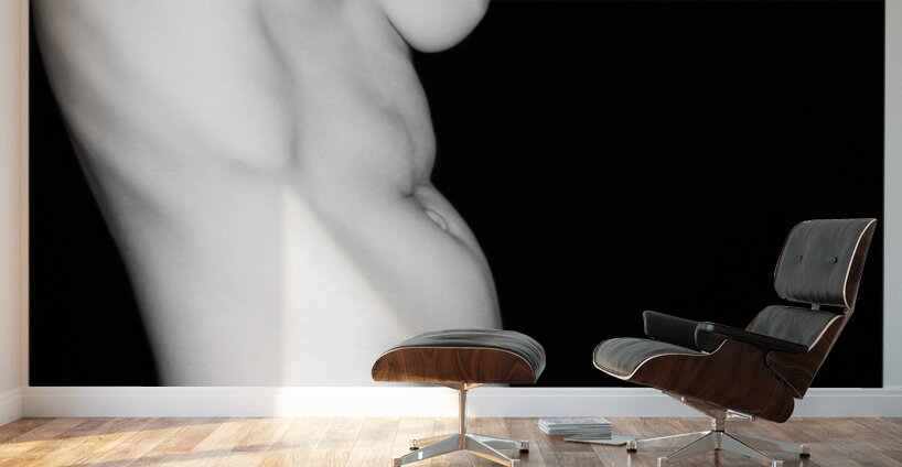 Torso 89 Wall Murals