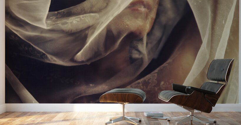 Mystery Under Wraps Wall Murals