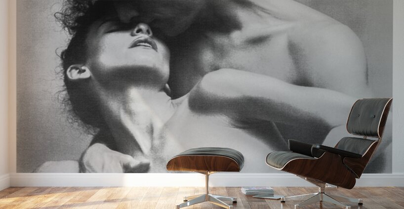 Folding to the Heart Wall Murals