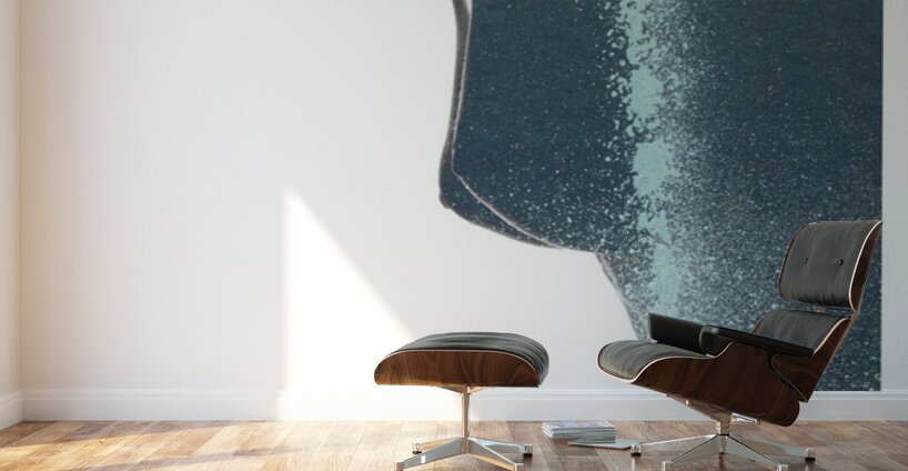 Defined by the Negative Wall Murals