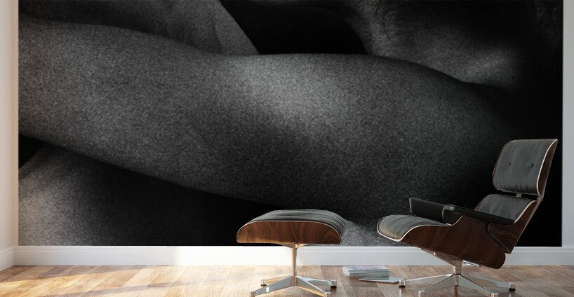 Hold Me Part Four Wall Murals