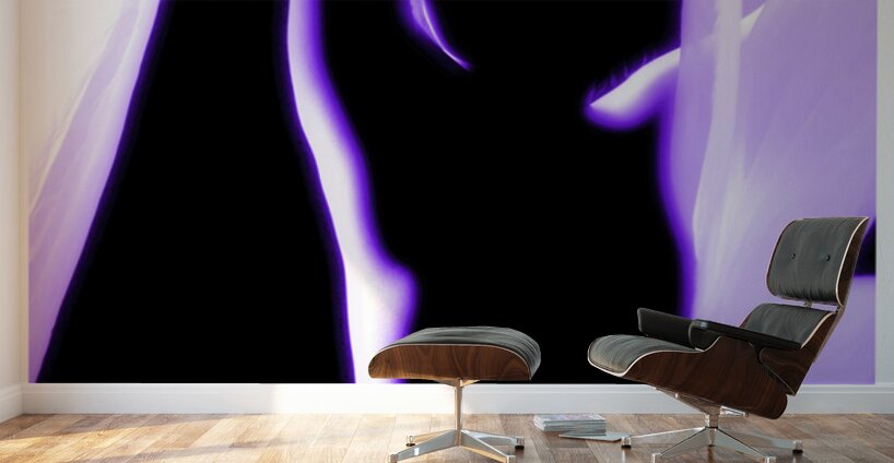 Royal Glow Wall Murals