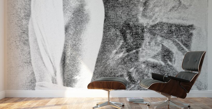 Rising from Water Wall Murals