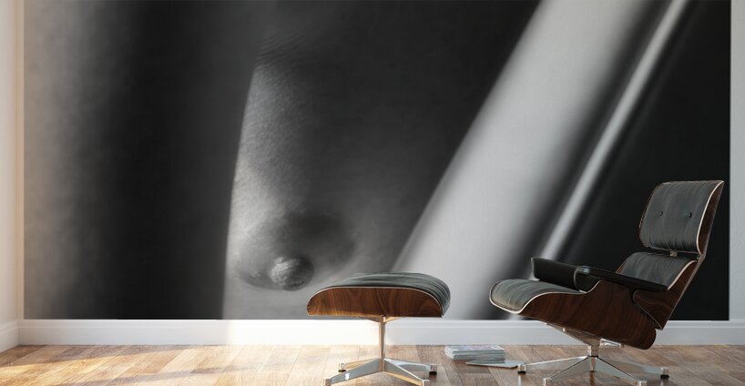 Against the Chair Wall Murals