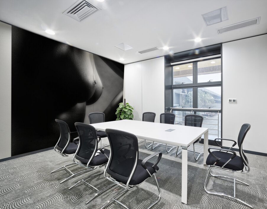 Shadow Play Wall Printing