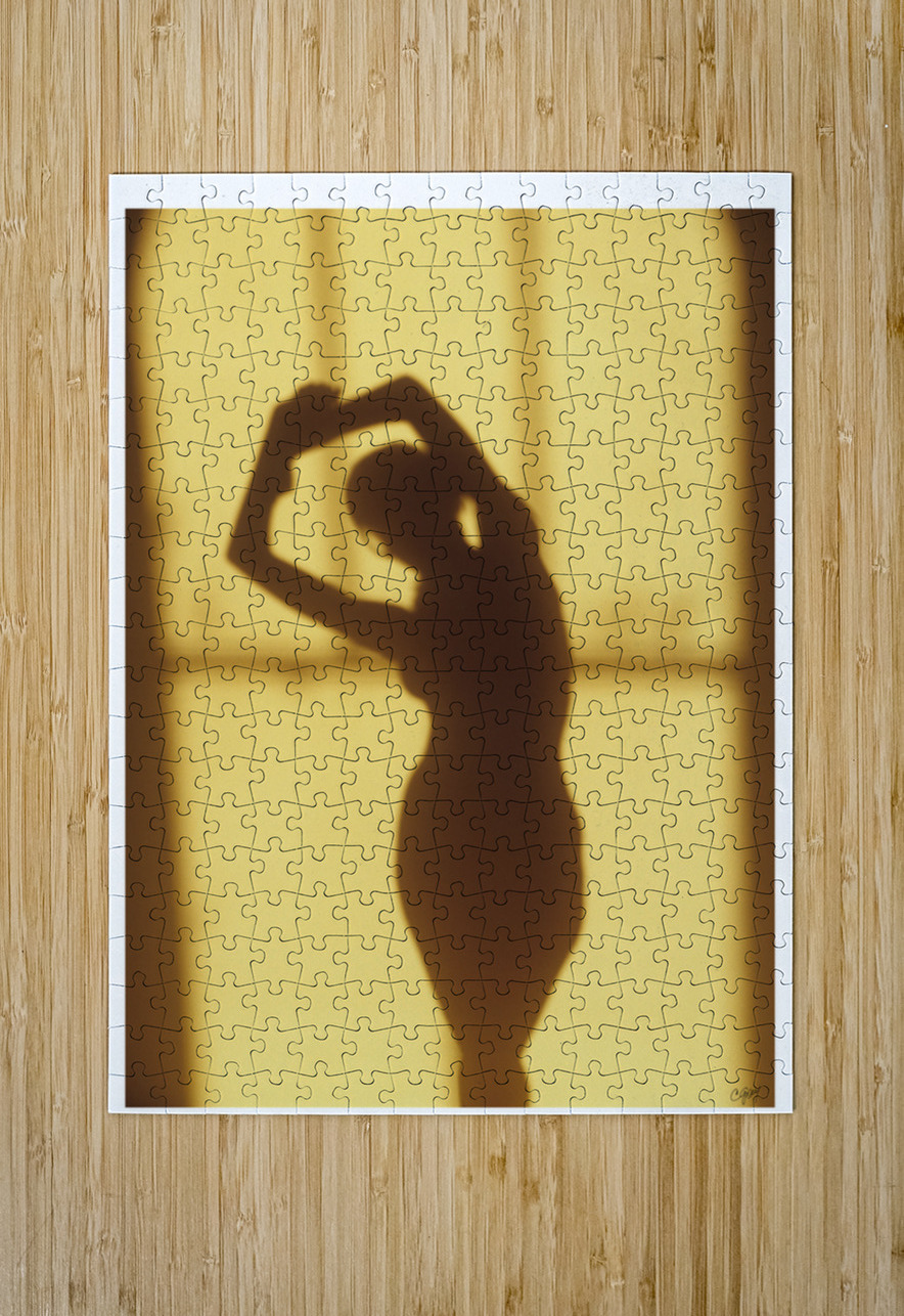 Shadow of Gold part two Sexy Bedroom Art Puzzle printing