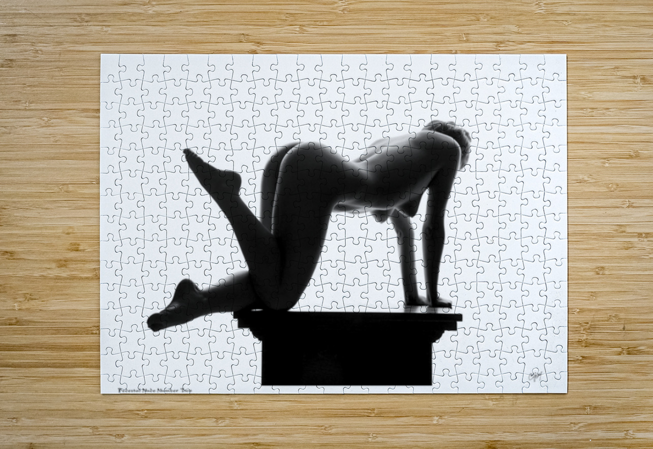 Pedestal Nude Number Two Sexy Bedroom Art Puzzle printing