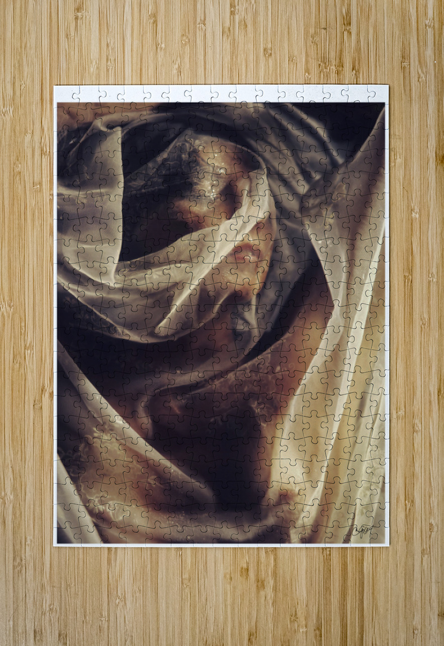 Mystery Under Wraps Sexy Bedroom Art Puzzle printing
