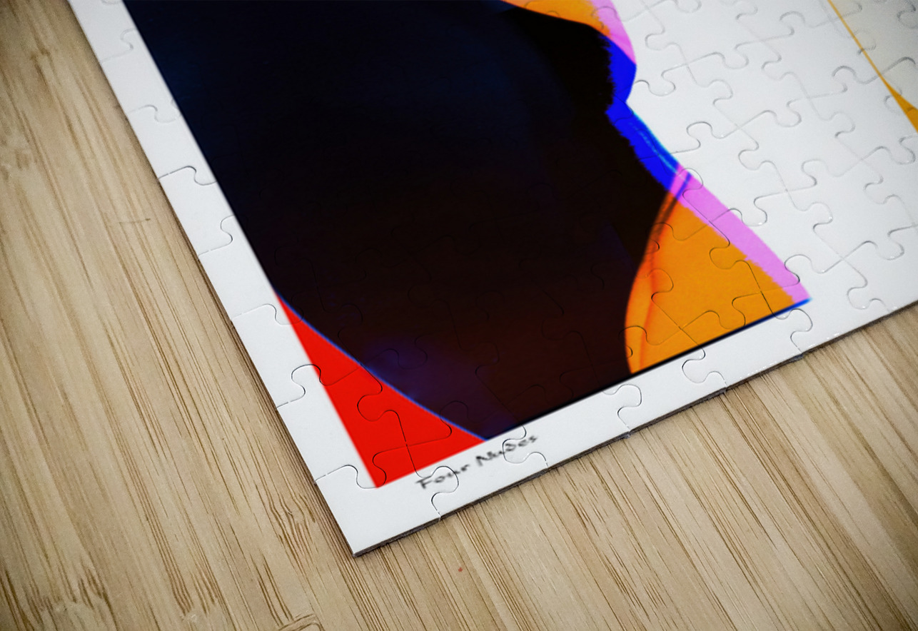 Four Nudes Sexy Bedroom Art Puzzle