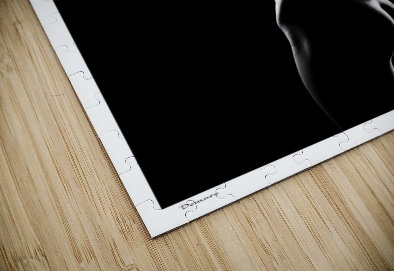 Demure Sexy Bedroom Art Puzzle