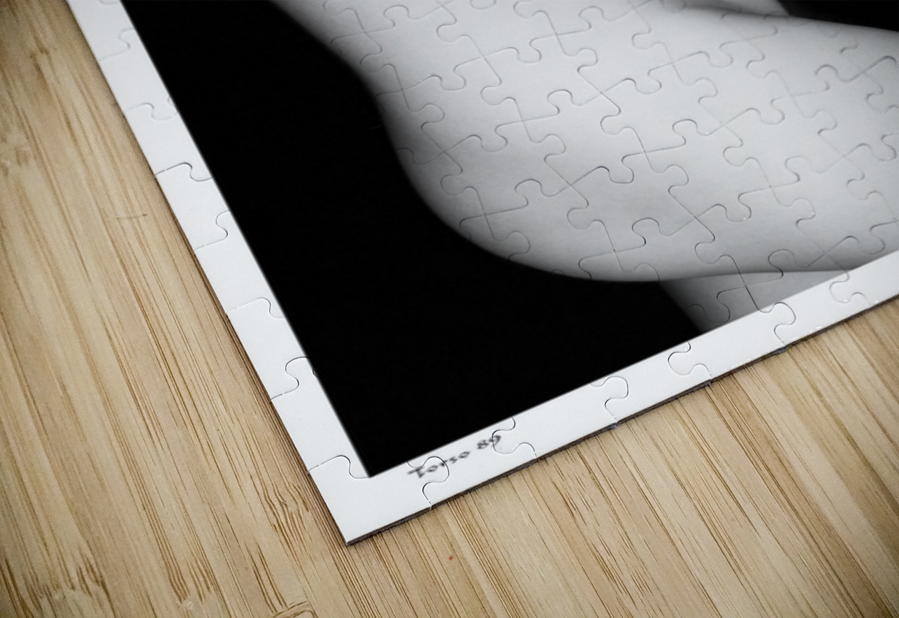 Torso 89 Sexy Bedroom Art Puzzle