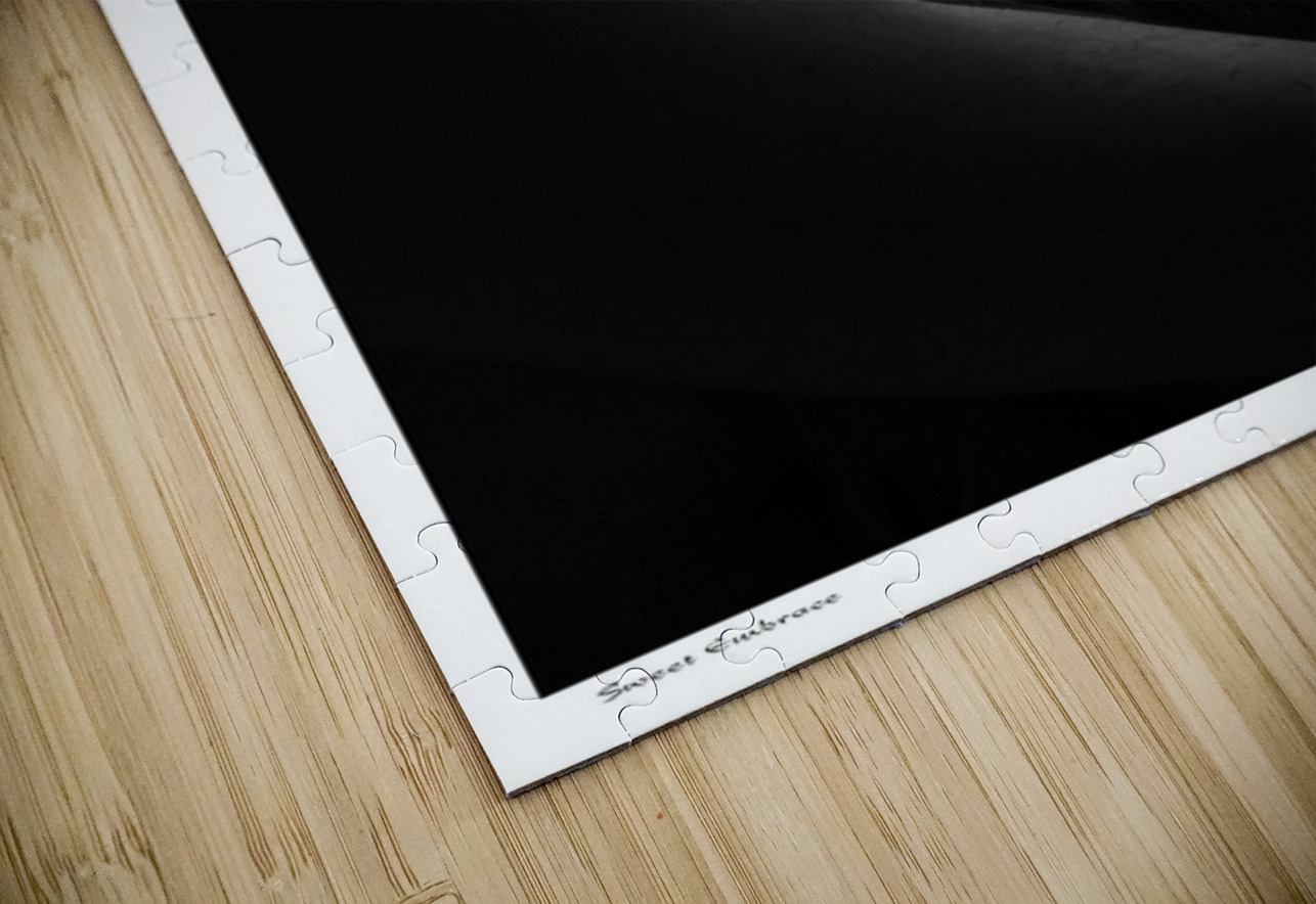 Sweet Embrace Sexy Bedroom Art Puzzle